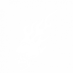 Череп и огън
