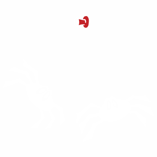 Паяци