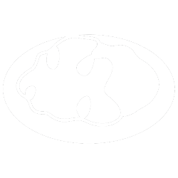 Бут
