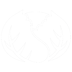 Зеле