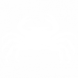 Рак