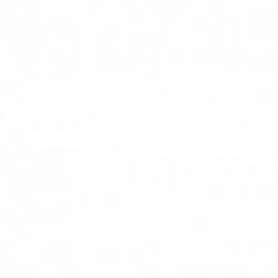 Динозавър