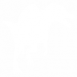 Динозавър