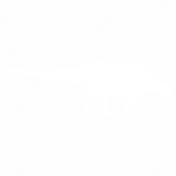 Динозавър