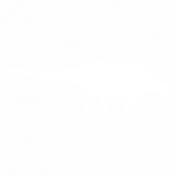 Dinosaur