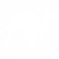 Динозавър