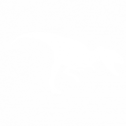 Динозавър