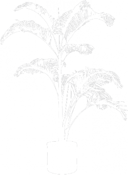 Цвете