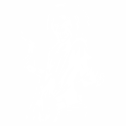 Iron Maiden