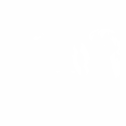 Лио и Стич