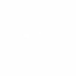 Лио и Стич