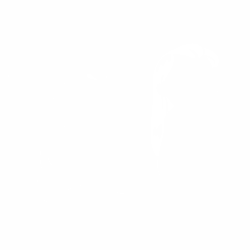 Лио и Стич