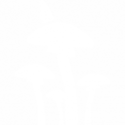 Гъби