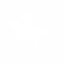 Cowboy