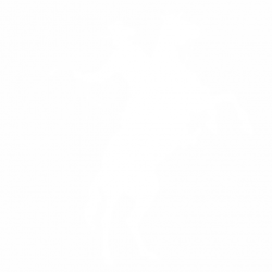 Cowboy