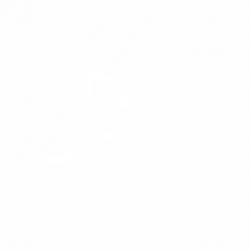 Плуто