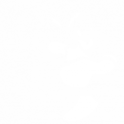 Доналд