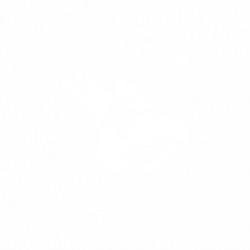 Доналд