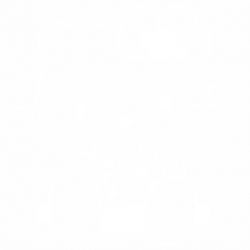 Кити
