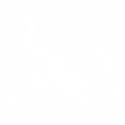 Костенурка