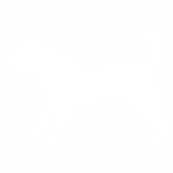 Куче