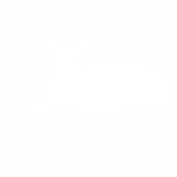 Сърна