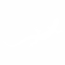 Гущер