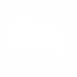 Хипопотам
