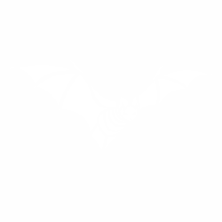 Bat