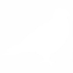 Птица