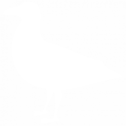 Птица