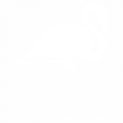 Птица
