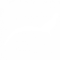Птица