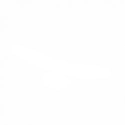 Птица