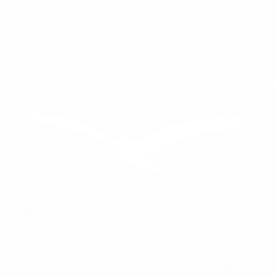 Птица
