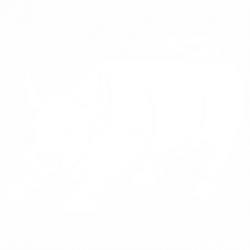 Бик