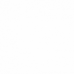 Булдог