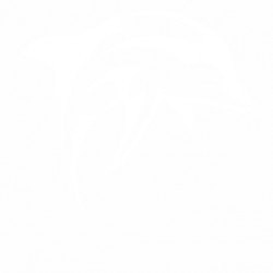 Делфин