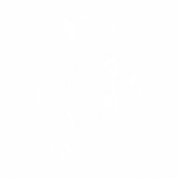 Жаба