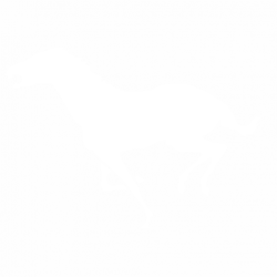 Кон