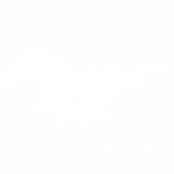 Кон