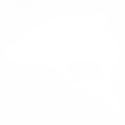 Делфин