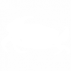 Crayfish