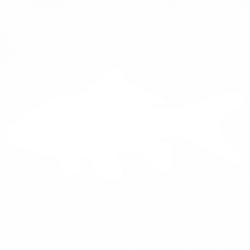 Риба