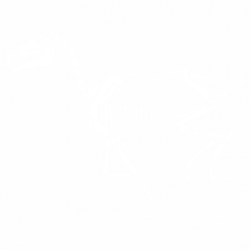 Конски скелет