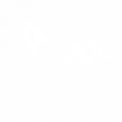 Конски скелет