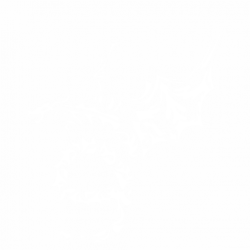 Дракон