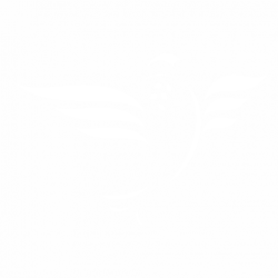 Гълъб