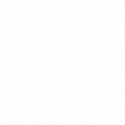 Bat