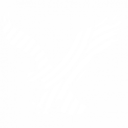 Птица